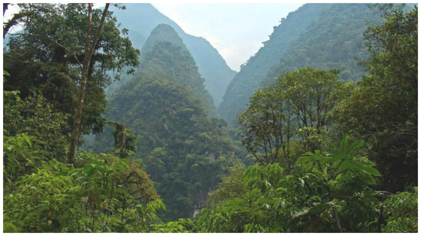 Las plantas se adaptan mejor de lo esperado al cambio climático, dice estudio