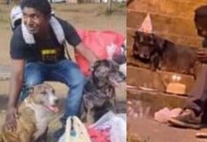 Conoce a Choco, el indigente que se volvió viral por celebrar el cumpleaños de sus perros
