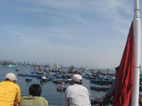 "Régimen especial para todo el sur"