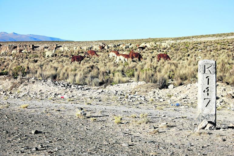 Tacna: pedirán S/.5 mllns. por terrenos afectados por obra vial 