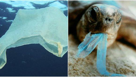 Día del Medio Ambiente: descubre la verdad de las "bolsas biodegradables"