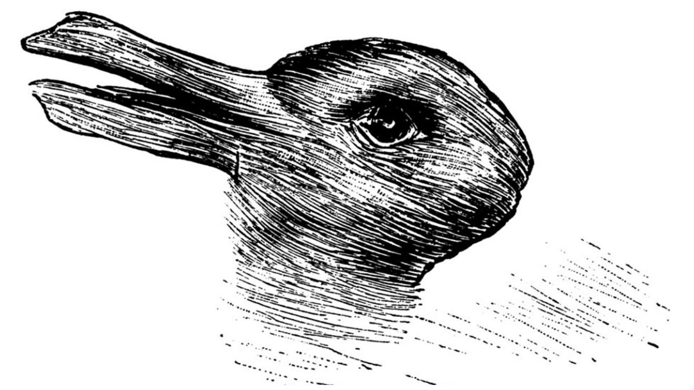 Comprueba tu creatividad: ¿Qué animal ves en esta imagen?