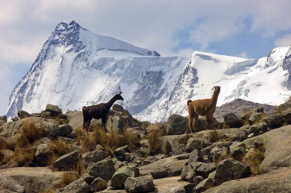 Perú elegido como único país de América Latina para realizar turismo mundial