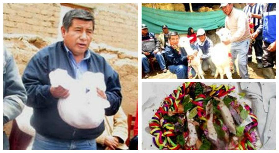 Orcopampa celebra carnavales con pago a la tierra y marcado de animales