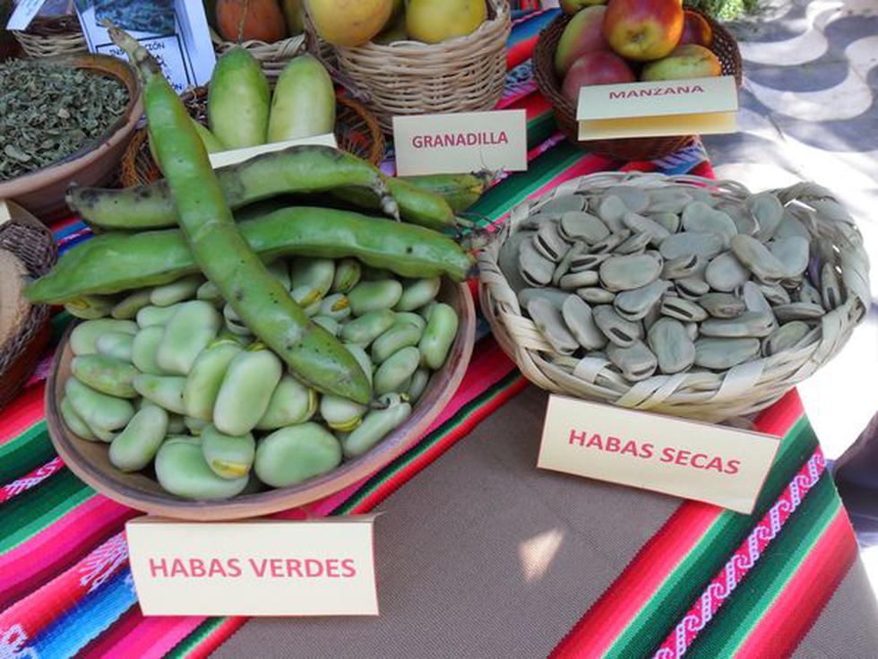 Escolares desbordan creatividad a través de 'estampas'