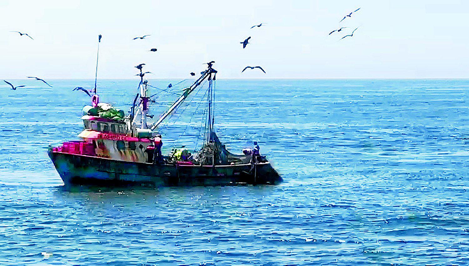 Tumbes: Caen naves “arrastreras” en cinco millas