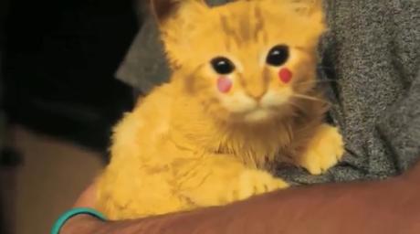 Video revela que el famoso Pikachu "sí existe"