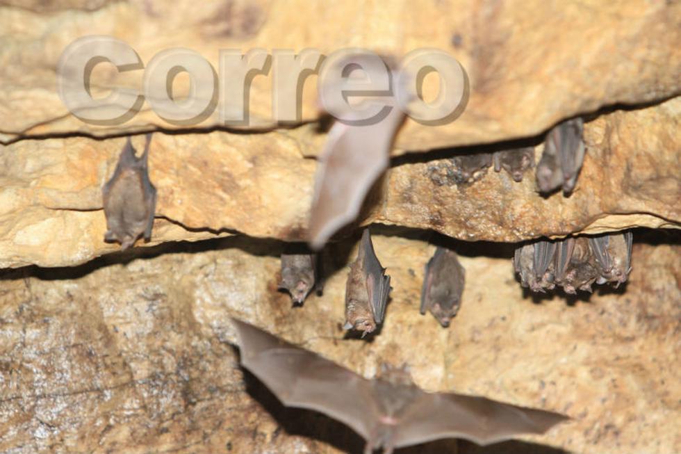 La caverna de Metraro, una aventura bajo tierra (FOTOS)