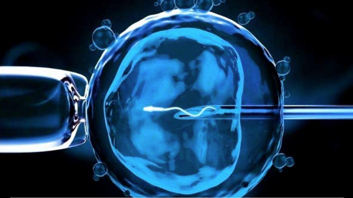 Millonarios extraen material genético de hijo muerto para tener un heredero