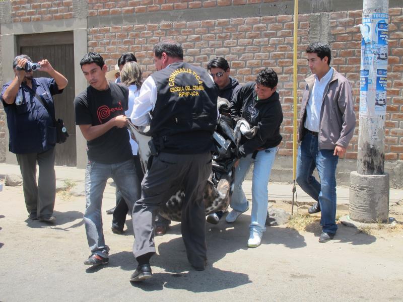 Muerte por encargo en la Av. San Martín 