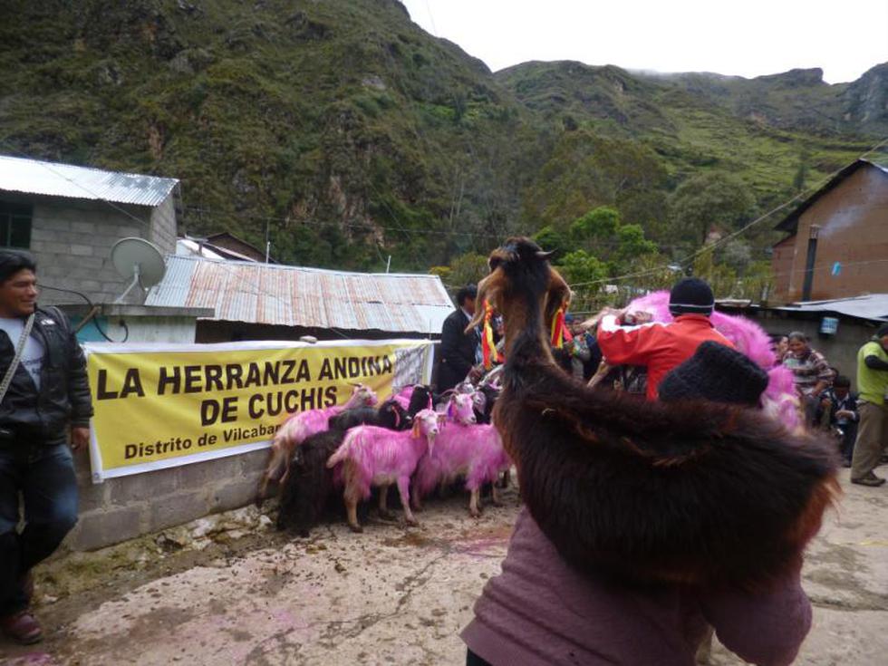 Pasco: Comunidades celebran Herranza Andina 