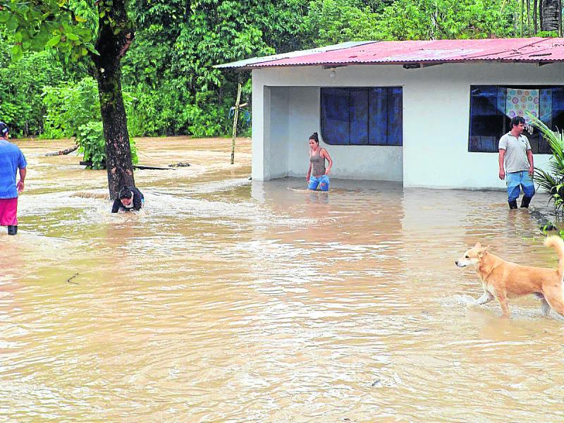 Tingo María: los ríos Huallaga y  Monzón causan estragos