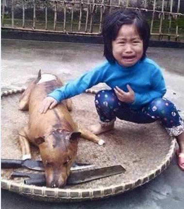 De terror, niña encuentra a su perro “Flower” cocinado en un restaurante