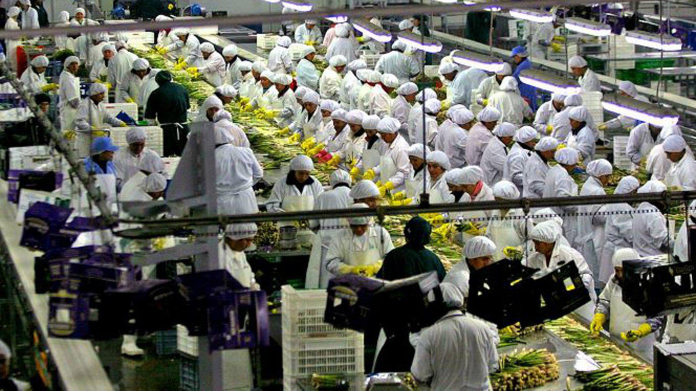 SNI: Industria requiere medidas para reactivarla