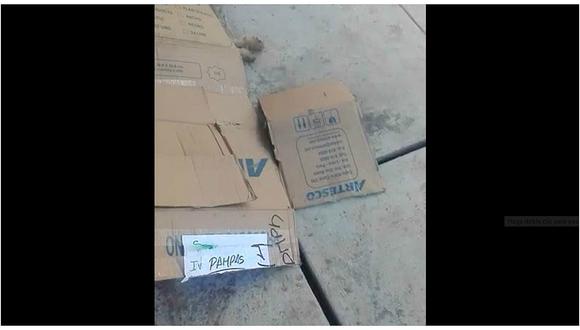 Huancavelica:  dejan perro muerto con amenaza en la puerta del Poder Judicial (VIDEO) 