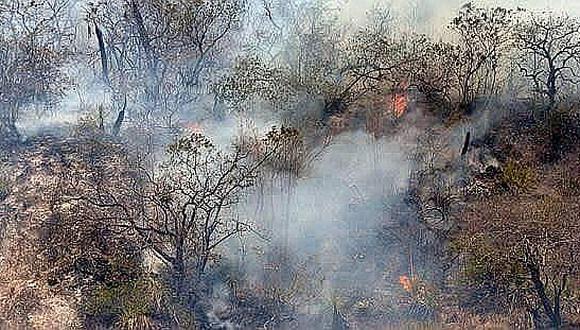 Piura: Otro incendio forestal en la vía Piura - Chulucanas