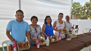 Chincha: organizan festival para promover consumo de pitahaya y valor nutricional  