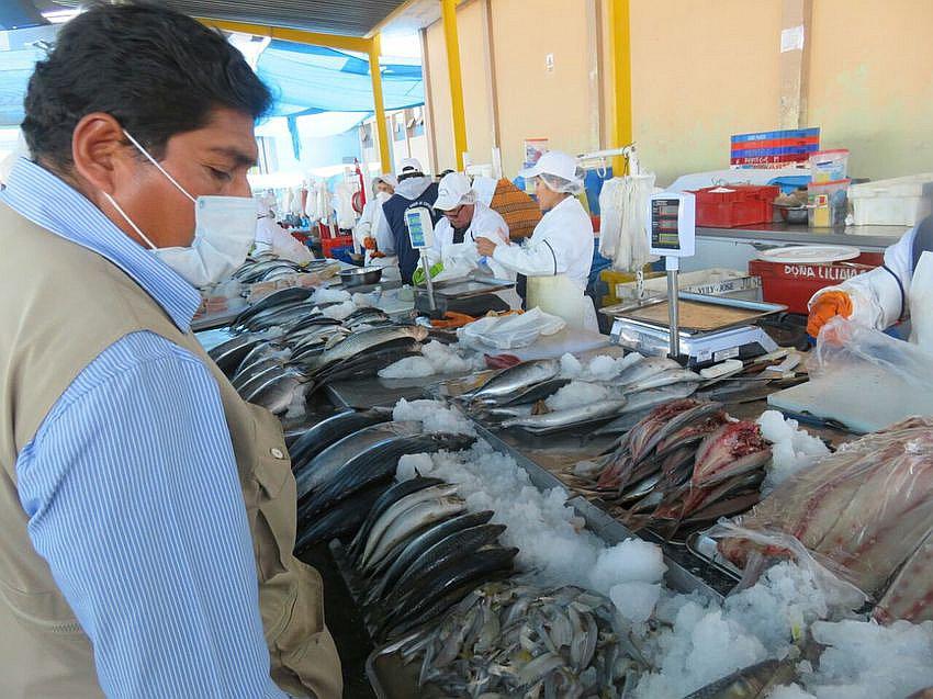 Decomisan más de media tonelada de pescado malogrado en Rio Seco