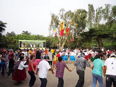 Multas a tala de árboles en yunza