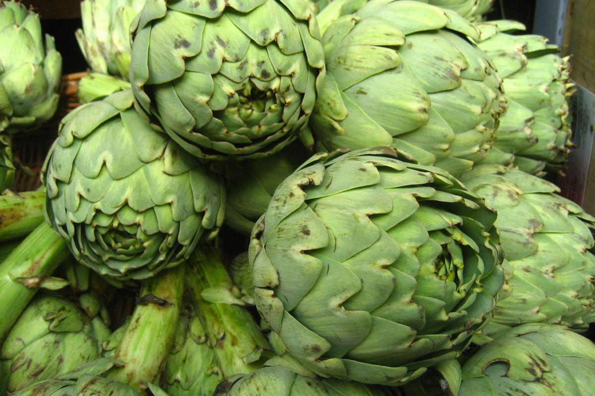 Las alcachofas contienen fitoesteroles, que contribuyen en la digestión de las grasas, reduciendo los triglicéridos en la sangre. (Foto: Pixabay)