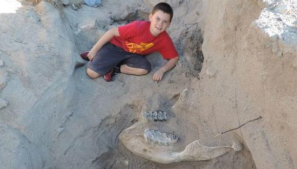 Niño de 10 años halló fósiles de más de un millón de años