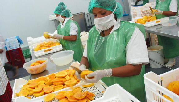 Exportación de mango es mayor en 11%