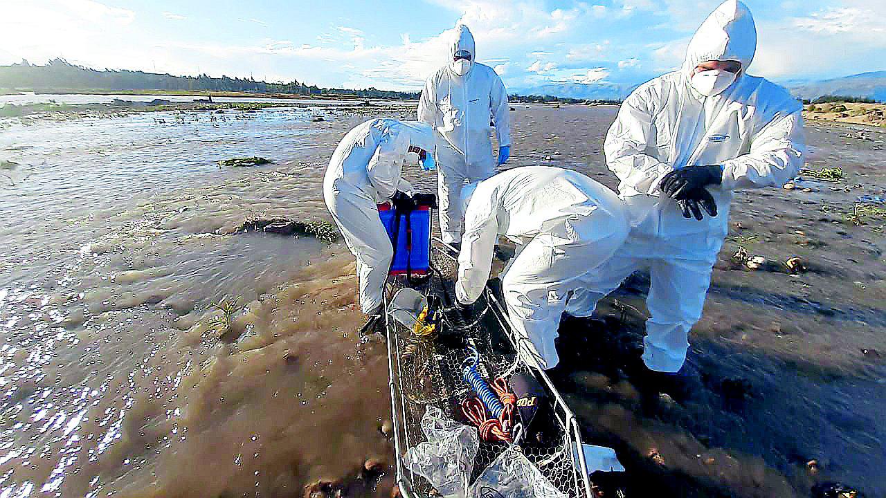 ‘Los ángeles de los caídos’ es el nuevo grupo PNP encargado de levantar cuerpos inertes