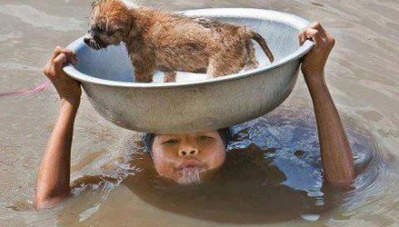 Foto de niño que salva la vida a perrito da vuelta al mundo