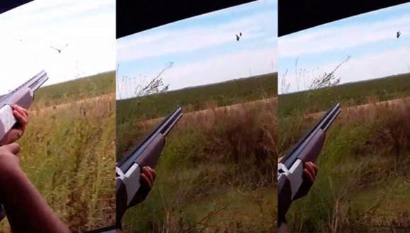 Cazador será investigado por alentar a su hijo de nueve años a disparar contra aves protegidas 