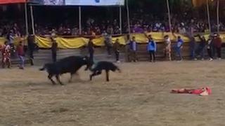 Torero y aficionado fueron corneados durante fiesta patronal en honor a Hatun Cajas (VIDEO)