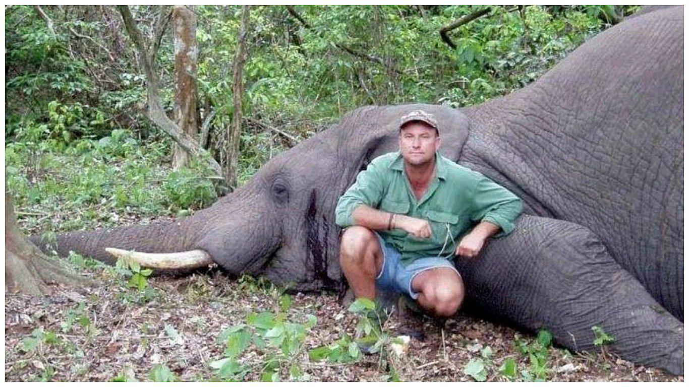 Cazador muere aplastado por un elefante cuando disparó a sus crías 