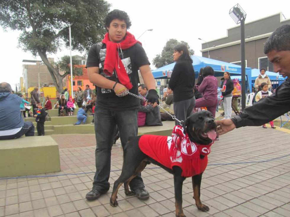 Barranco fue sede de un inusual desfile de mascotas (FOTOS)