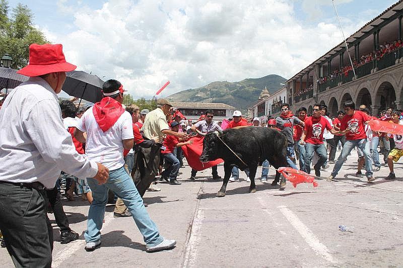 Regidores desconocen autorización que municipalidad habría entregado para 'jala toro'