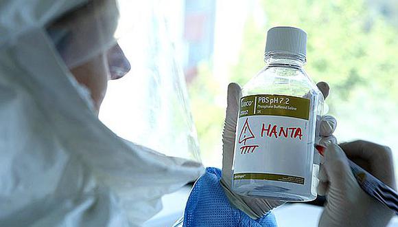 Chile: Cifra de fallecidos por virus Hanta se triplica en 2017