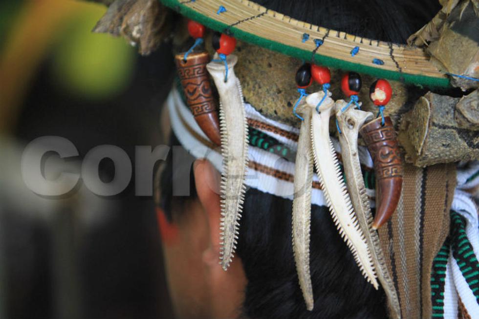 Belleza y aventura esperan en  la Selva Central (FOTOS)