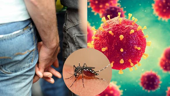 Diagnostican el primer caso de transmisión sexual de dengue