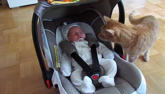 Esta es la reacción de un gato al ver por primera vez a un bebé (VIDEO)