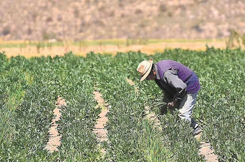 Agro y confecciones tendrán un gran revés