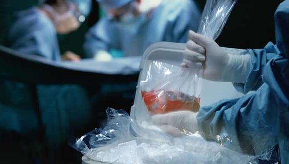 Cada donante de órganos puede salvar la vida de 15 personas 