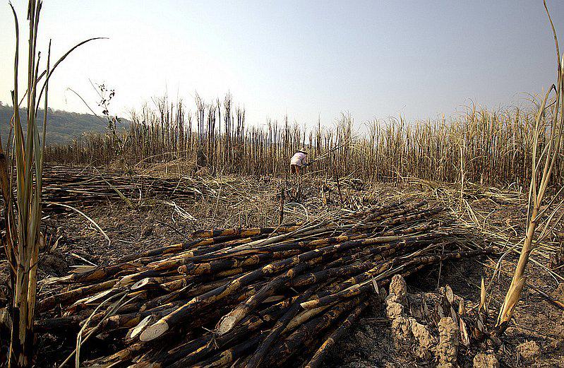 Piura: Quema de caña de azúcar genera nuevo conflicto en la región