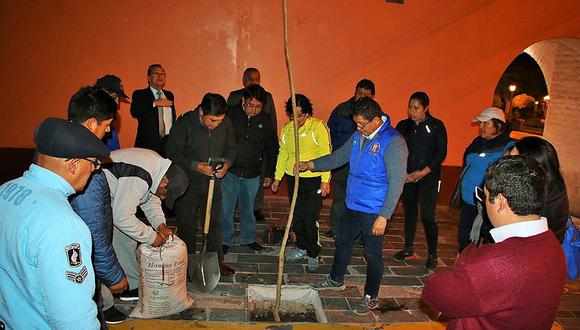 Municipio de Huamanga no coordinó arborización con la Dirección de Cultura