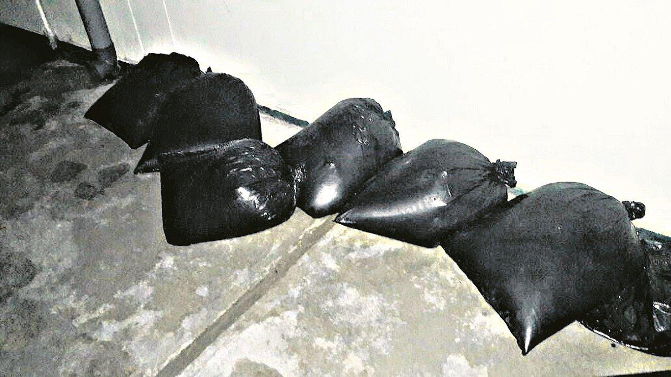 Incautan 55 galones de combustible