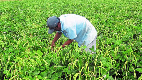 Agricultores piuranos se reunirán con Ministro en Piura