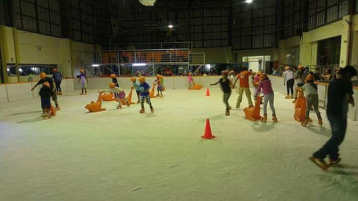 Patinaje en hielo busca sobrevivir