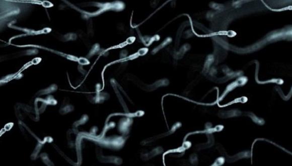 ​Francia: Científicos crean espermatozoides humanos in vitro