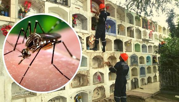Encuentran larvas del vector del dengue en cementerio de Castilla