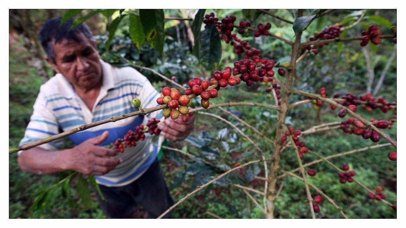 Reconstrucción puede dinamizar economía de la Amazonía