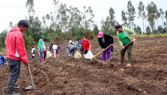 Castillo anunció medidas en beneficio de los pequeños agricultores. (Foto: GEC)
