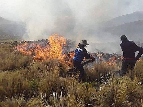 ​Extinguen ocho incendios forestales en cinco regiones del país