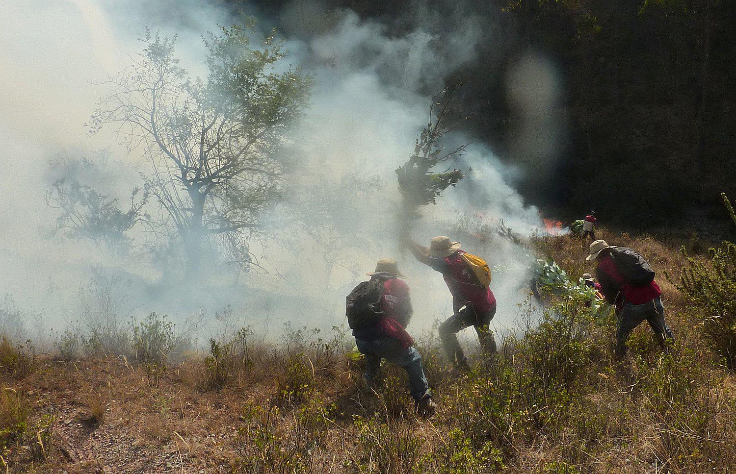 Incendio forestal en zona de amortiguamiento de Machu Picchu
